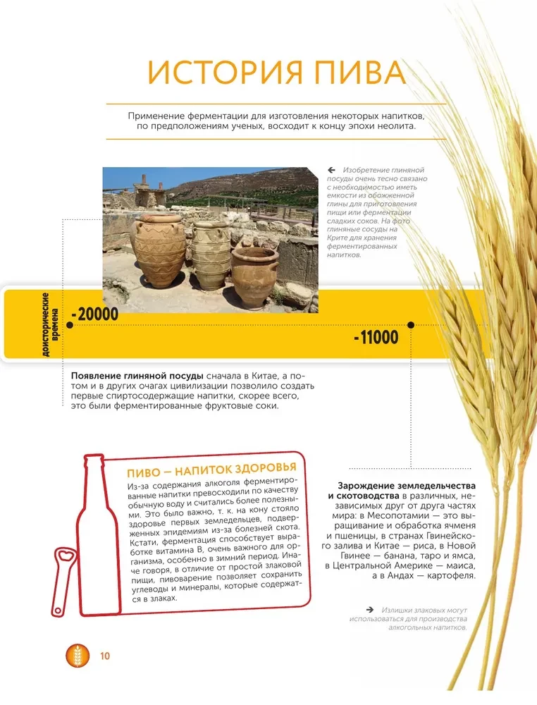 Beer. History, varieties, production, tasting, traditions