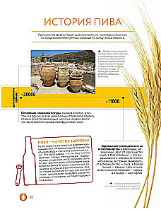 Beer. History, varieties, production, tasting, traditions