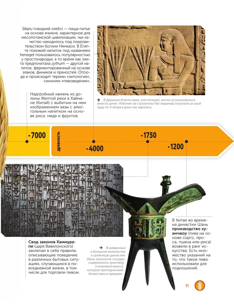 Beer. History, varieties, production, tasting, traditions