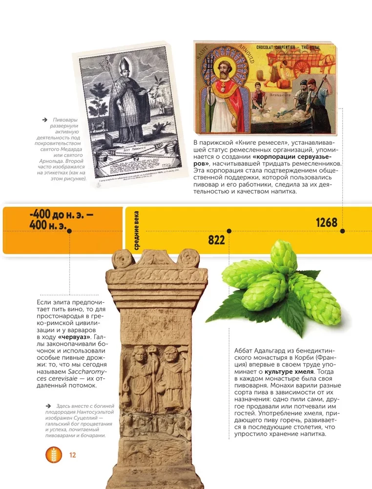 Beer. History, varieties, production, tasting, traditions