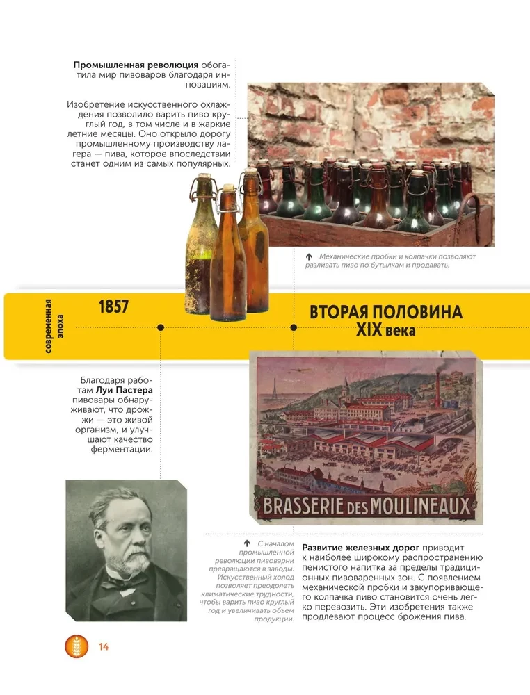 Beer. History, varieties, production, tasting, traditions