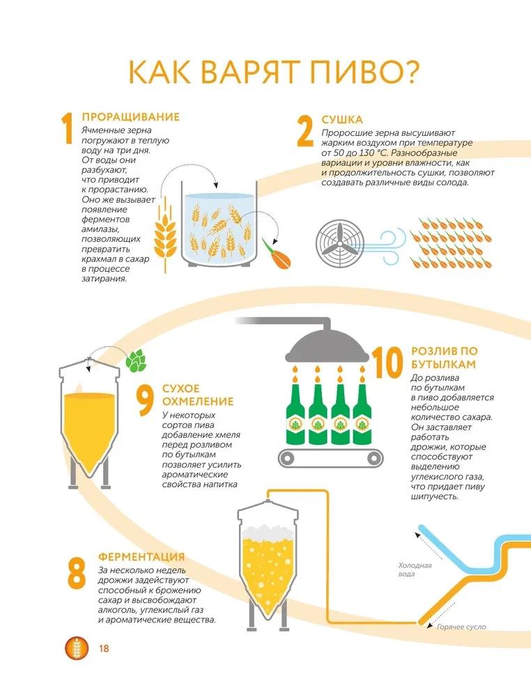 Beer. History, varieties, production, tasting, traditions