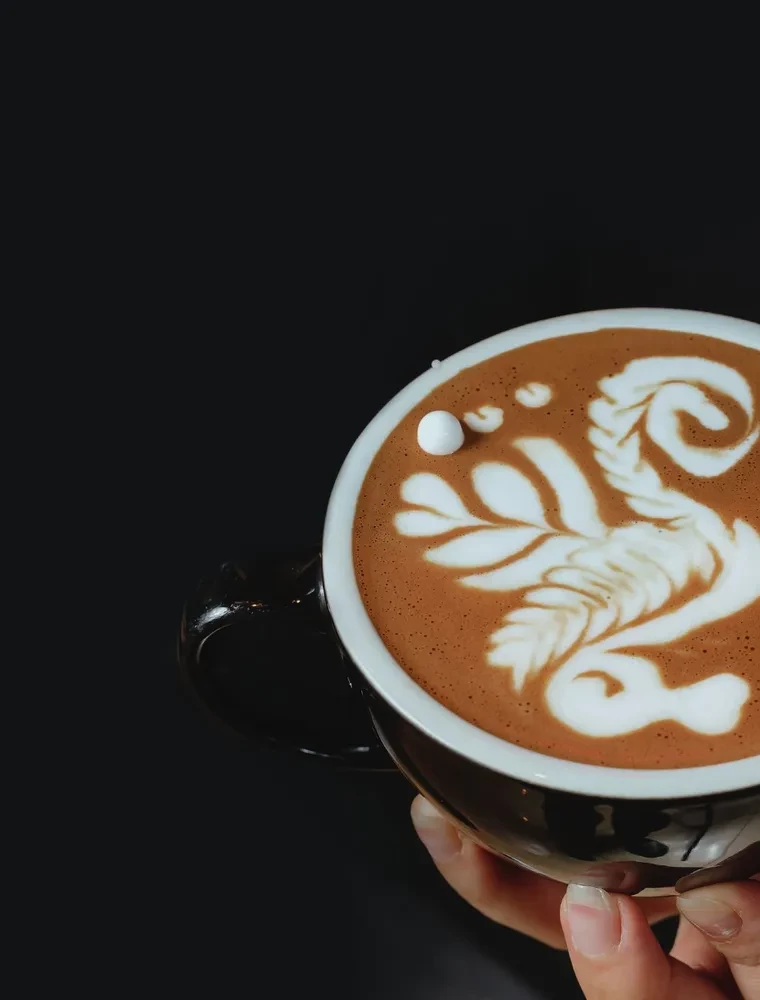 Latte-Art. Der ausführlichste Meisterkurs im Zeichnen auf Kaffee
