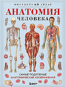 Anatomia człowieka. Popularny atlas. Najbardziej szczegółowe obrazy anatomiczne