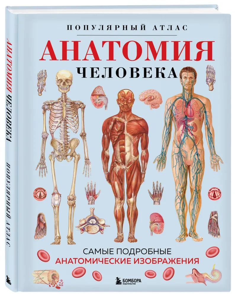 Anatomia człowieka. Popularny atlas. Najbardziej szczegółowe obrazy anatomiczne