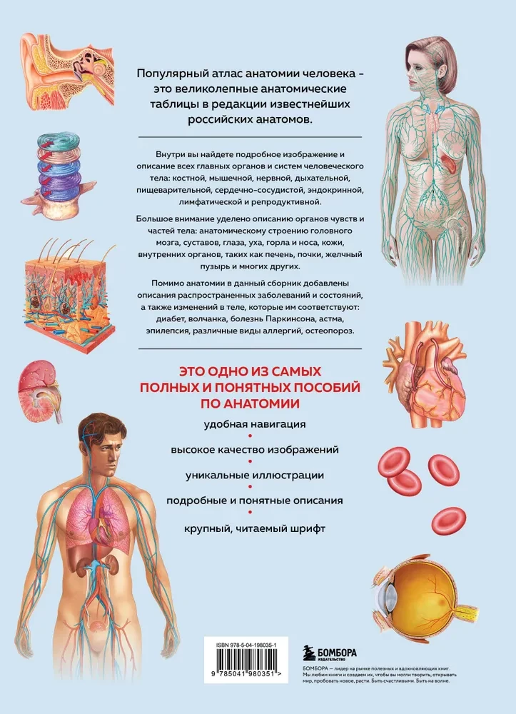 Anatomia człowieka. Popularny atlas. Najbardziej szczegółowe obrazy anatomiczne