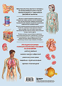 Anatomia człowieka. Popularny atlas. Najbardziej szczegółowe obrazy anatomiczne