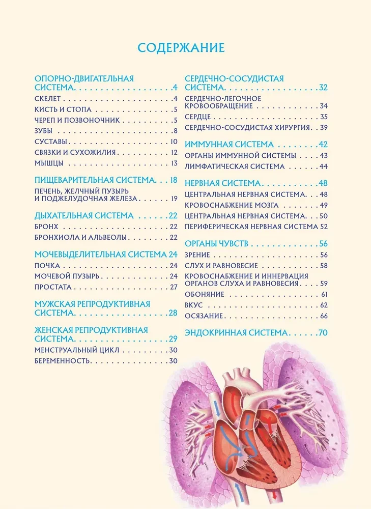 Anatomia człowieka. Popularny atlas. Najbardziej szczegółowe obrazy anatomiczne