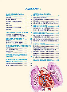Anatomia człowieka. Popularny atlas. Najbardziej szczegółowe obrazy anatomiczne