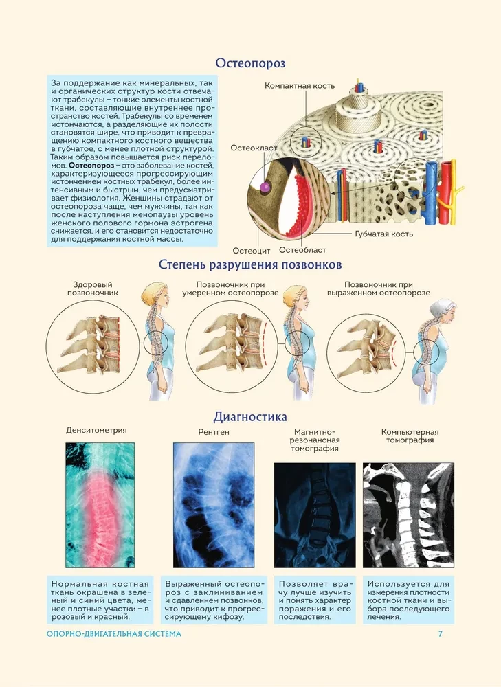 Anatomia człowieka. Popularny atlas. Najbardziej szczegółowe obrazy anatomiczne