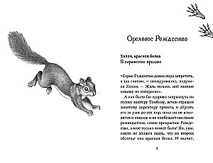 Twelve Secrets