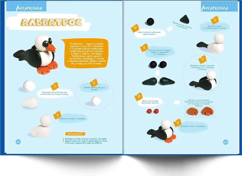 Plasticine. Developing a Child's Brain. 3-9 Years