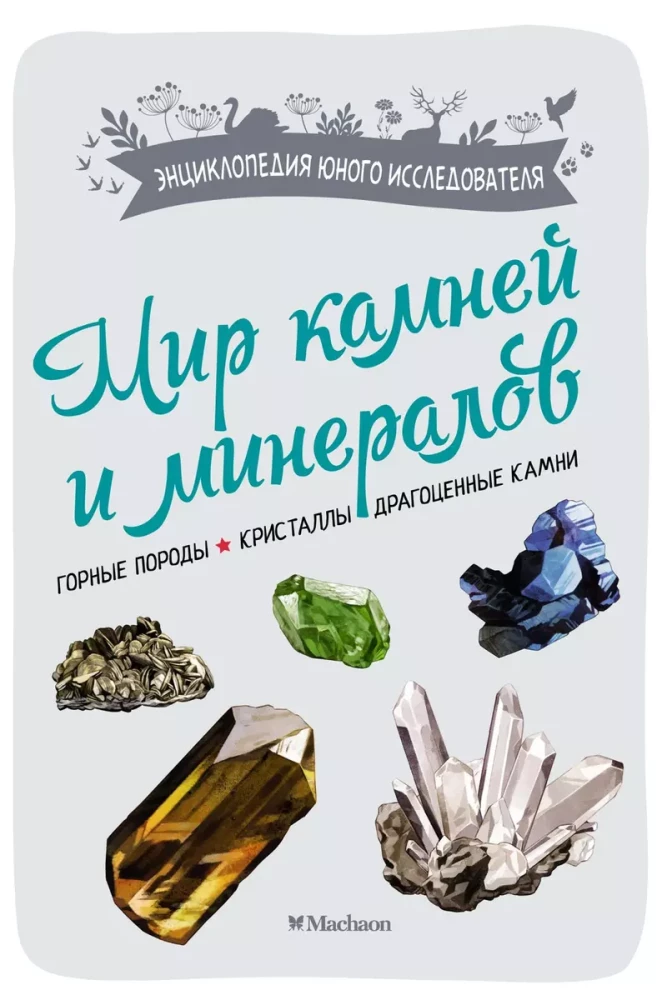 The World of Stones and Minerals