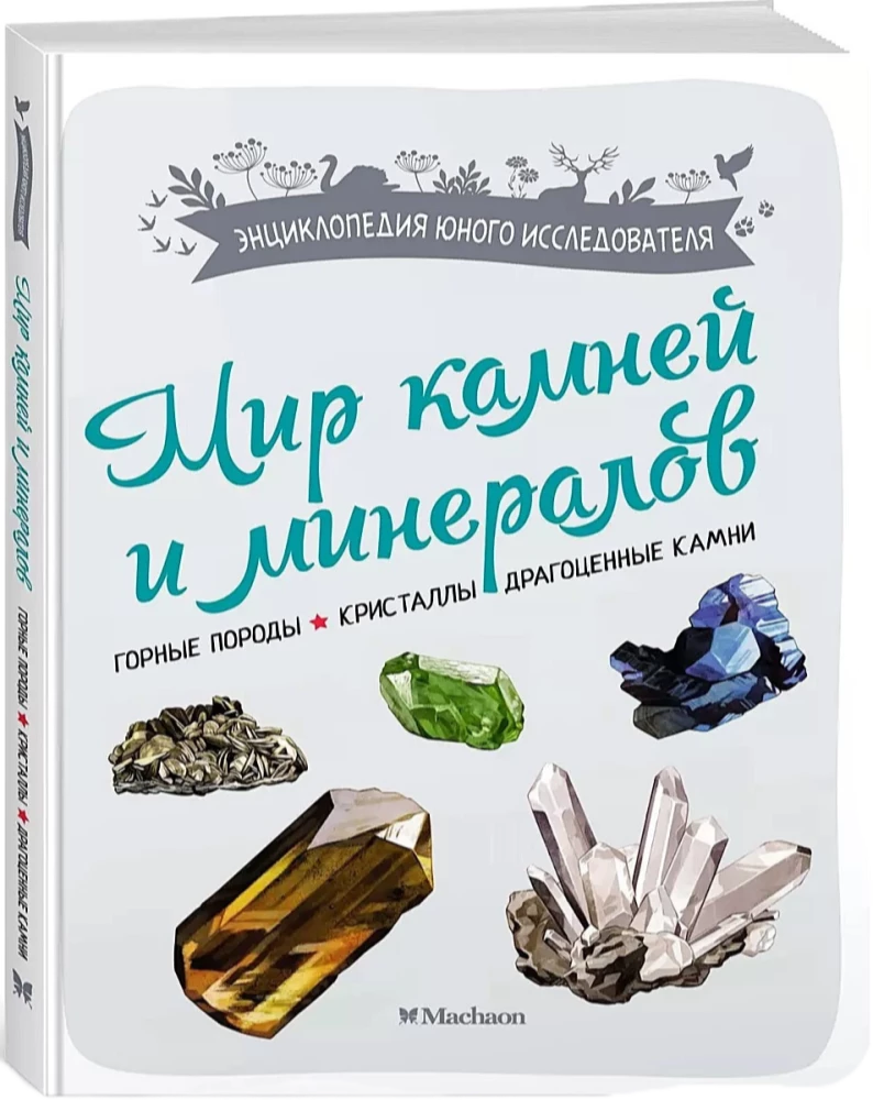 The World of Stones and Minerals
