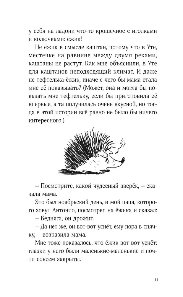 The Story of Hedgehogs, Grandfathers and Grandmothers and Climate Change