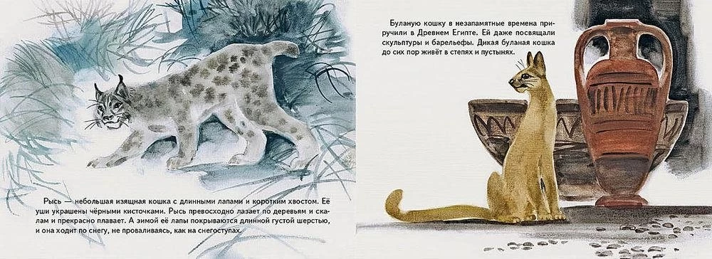 Wild Cats
