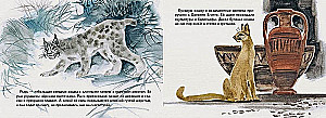 Wild Cats