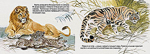 Wild Cats