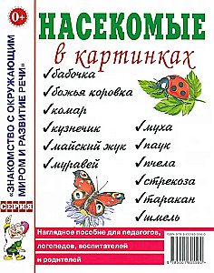 Insects in Pictures