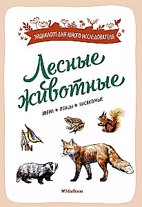 Forest Animals