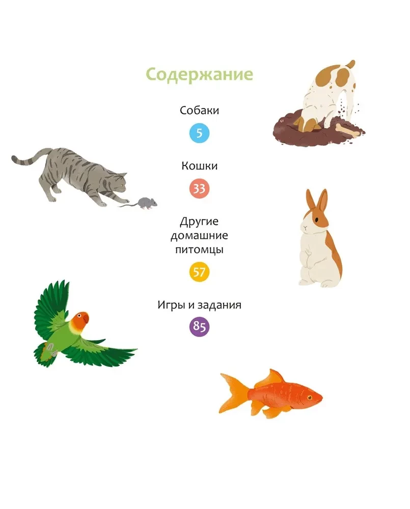 Favorite Pets