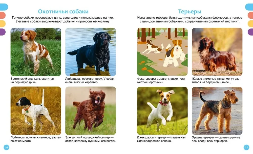 Favorite Pets