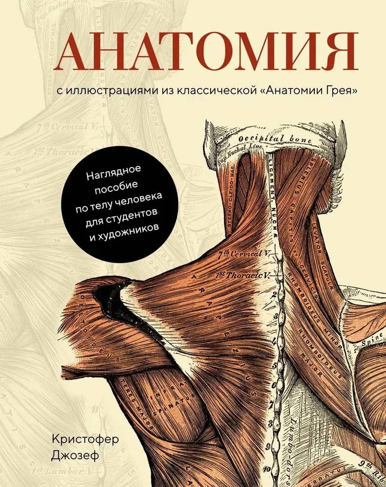 Anatomy