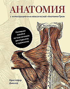 Anatomy