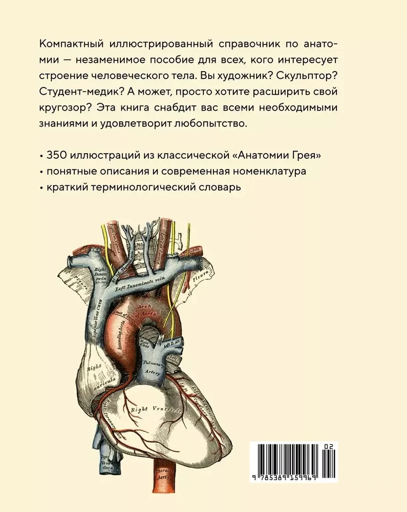 Anatomy