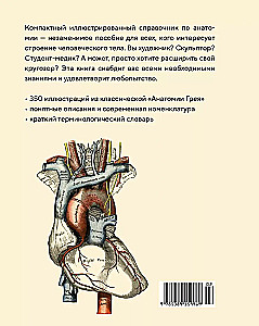 Anatomy