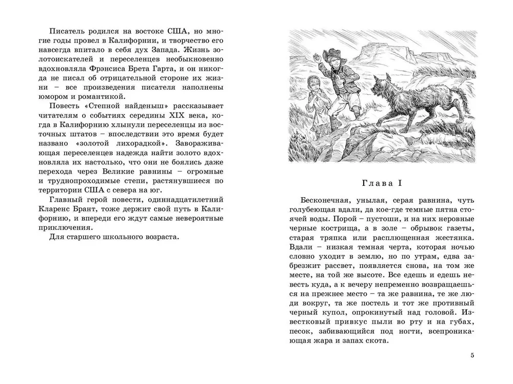 Степной найденыш