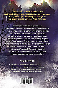Potkin and Stubbs. The Mystery of the Ghost Boy
