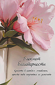 Блокнот благодарности. Красота в каждом мгновении, просто надо научиться ее замечать