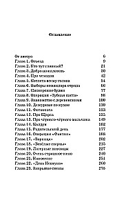 How we spent summer with Vovka. A summer with a pioneer greeting. A book for adults who have forgotten what it was like to be a child