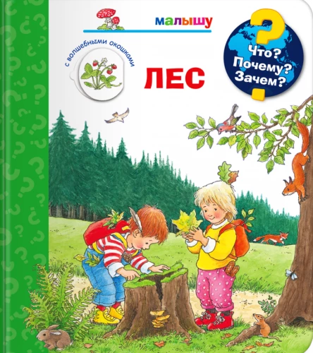 What? Why? For What? To the Baby. Forest (with magic windows)