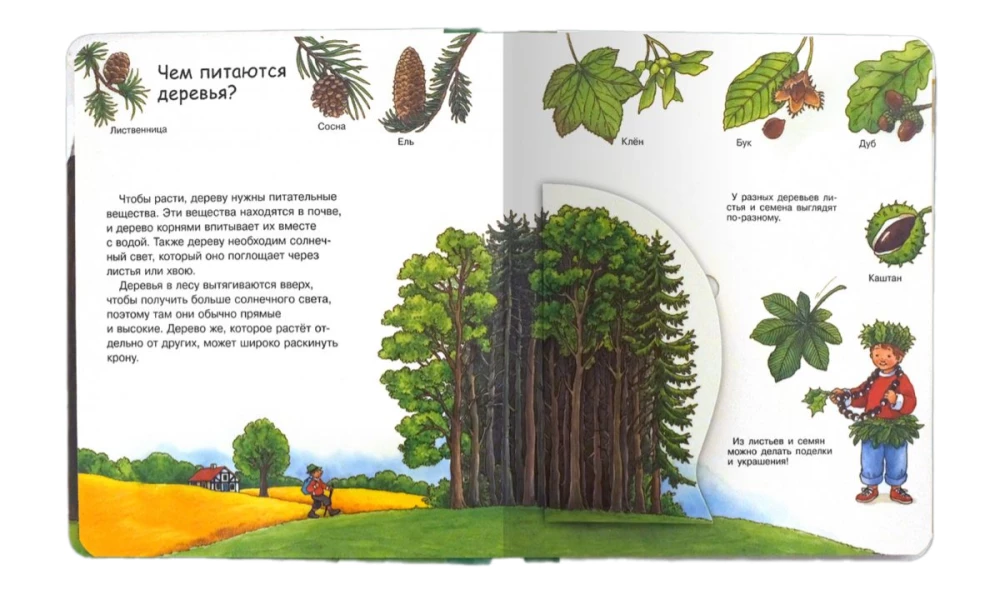 Что? Почему? Зачем?  Малышу. Лес (с волшебными окошками)