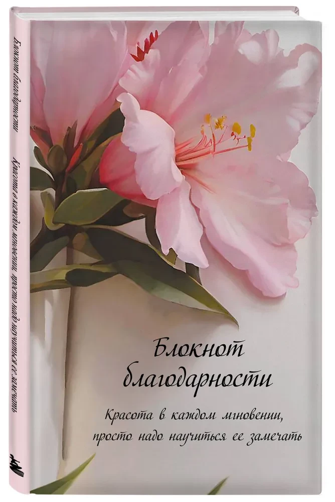 Блокнот благодарности. Красота в каждом мгновении, просто надо научиться ее замечать