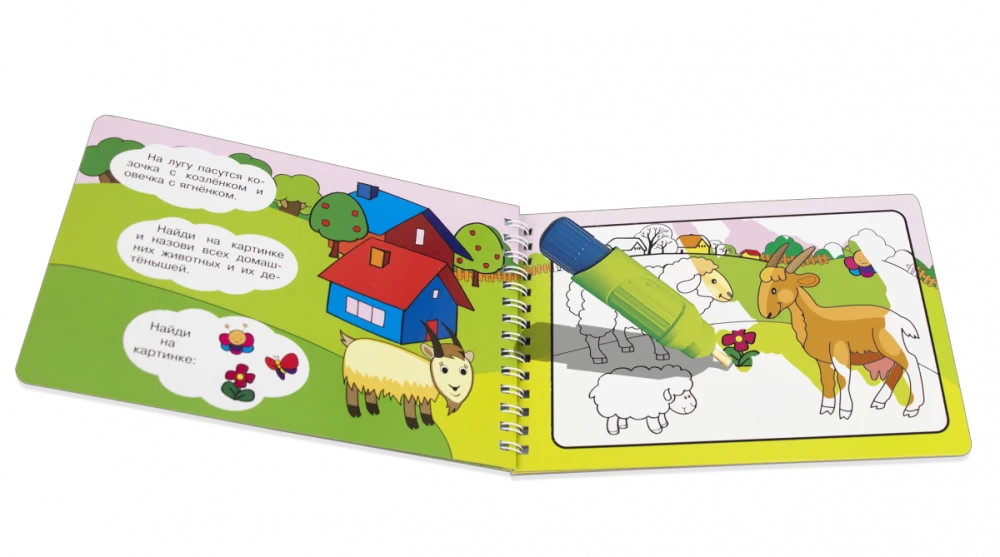 Reusable Coloring Book. Painting with Water. Magic Coloring Book. Domestic Animals