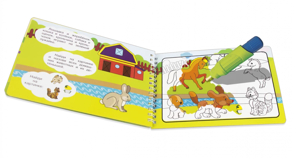 Reusable Coloring Book. Painting with Water. Magic Coloring Book. Domestic Animals