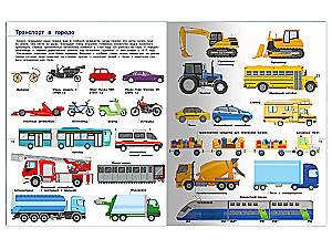 Illustrated Encyclopedia for Children