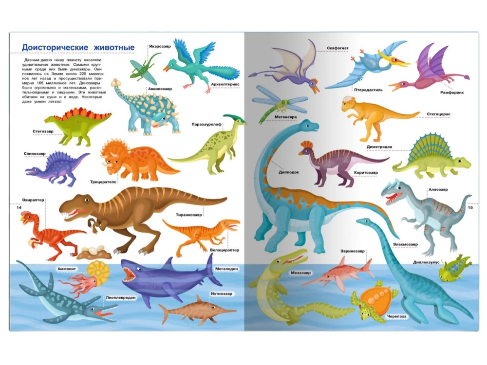 Illustrated Encyclopedia for Children