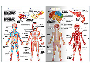 Illustrated Encyclopedia for Children