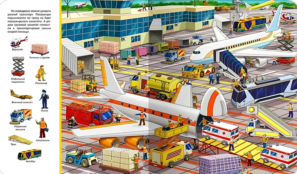 Wimmelbook. Find and Show. Transport