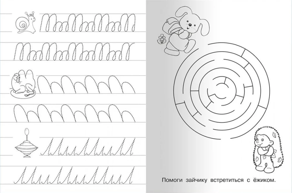 Writing Practice with Exercises. Tiger Cub