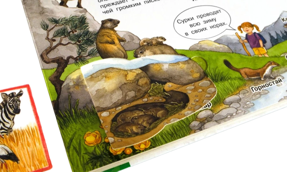 Что? Почему? Зачем? Мой первый атлас мира (с волшебными окошками)