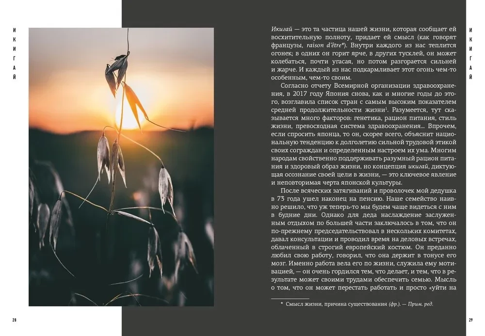 Japanism. Cult Books of Japanese Philosophy and Wisdom