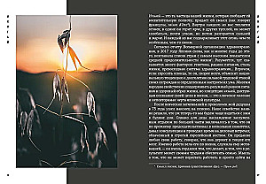 Japanism. Cult Books of Japanese Philosophy and Wisdom