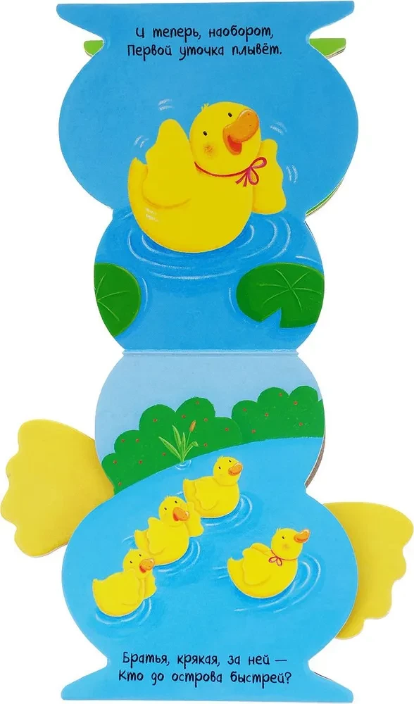I am a Duck