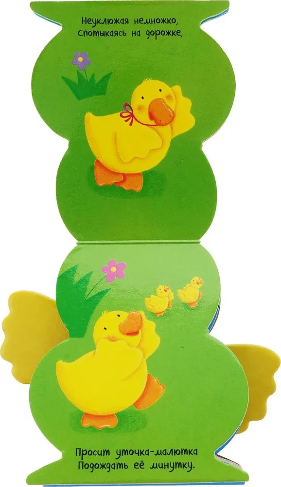 I am a Duck