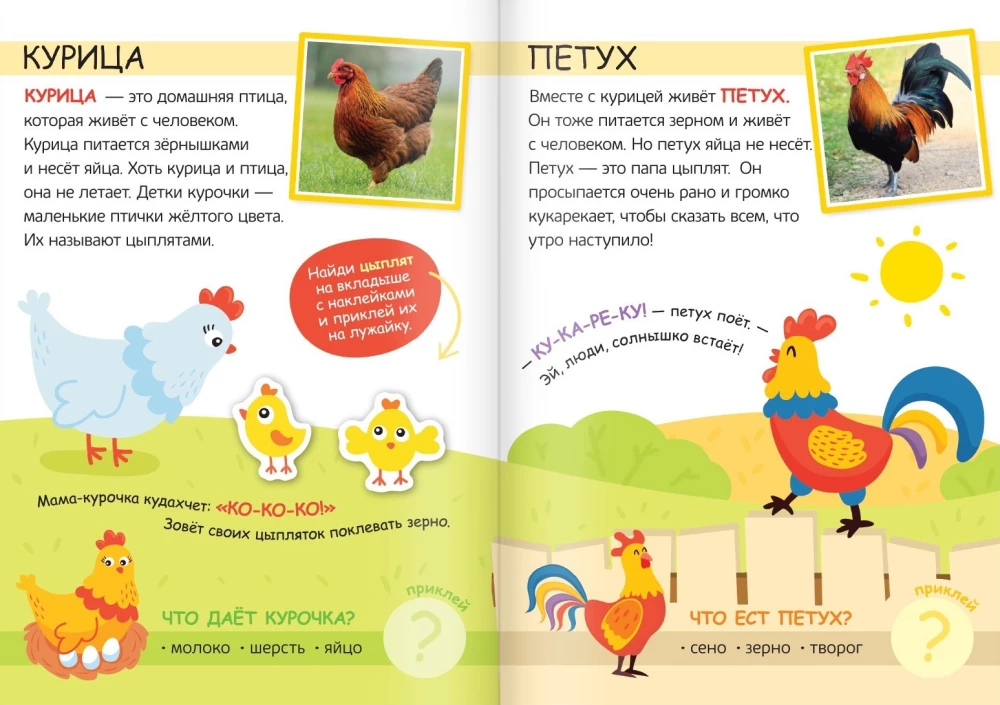 Sticker Book - My Farm. Read, Play, Discover